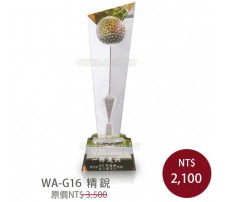  WA-G16 高爾夫球
